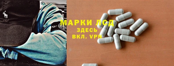 индика Дмитровск