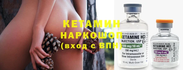 индика Дмитровск