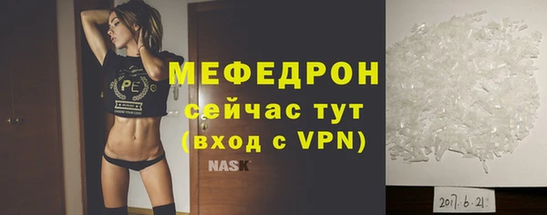 индика Дмитровск