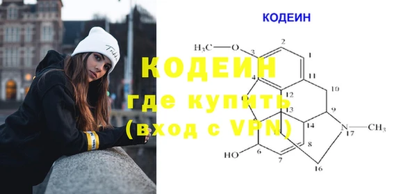 индика Дмитровск