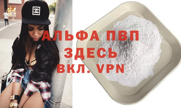 индика Дмитровск