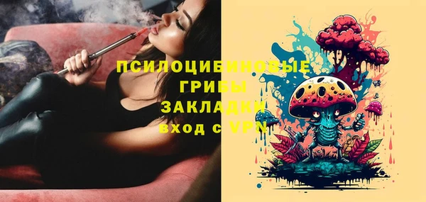 эйфоретик Дмитриев