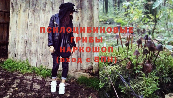 ешки Дмитров
