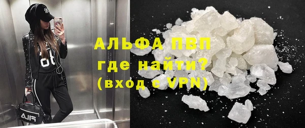 индика Дмитровск