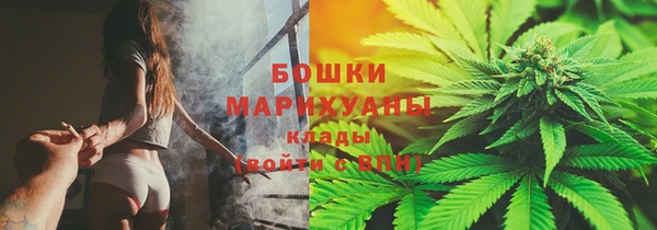 индика Дмитровск